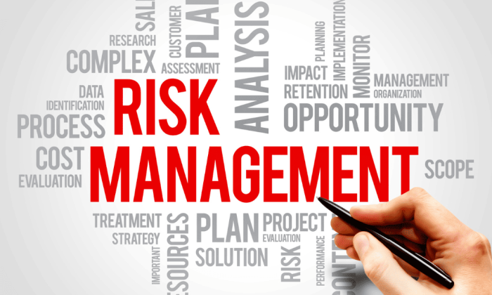 Imagem com a palavra Risk Management